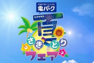 夏さきどりフェア開催！！